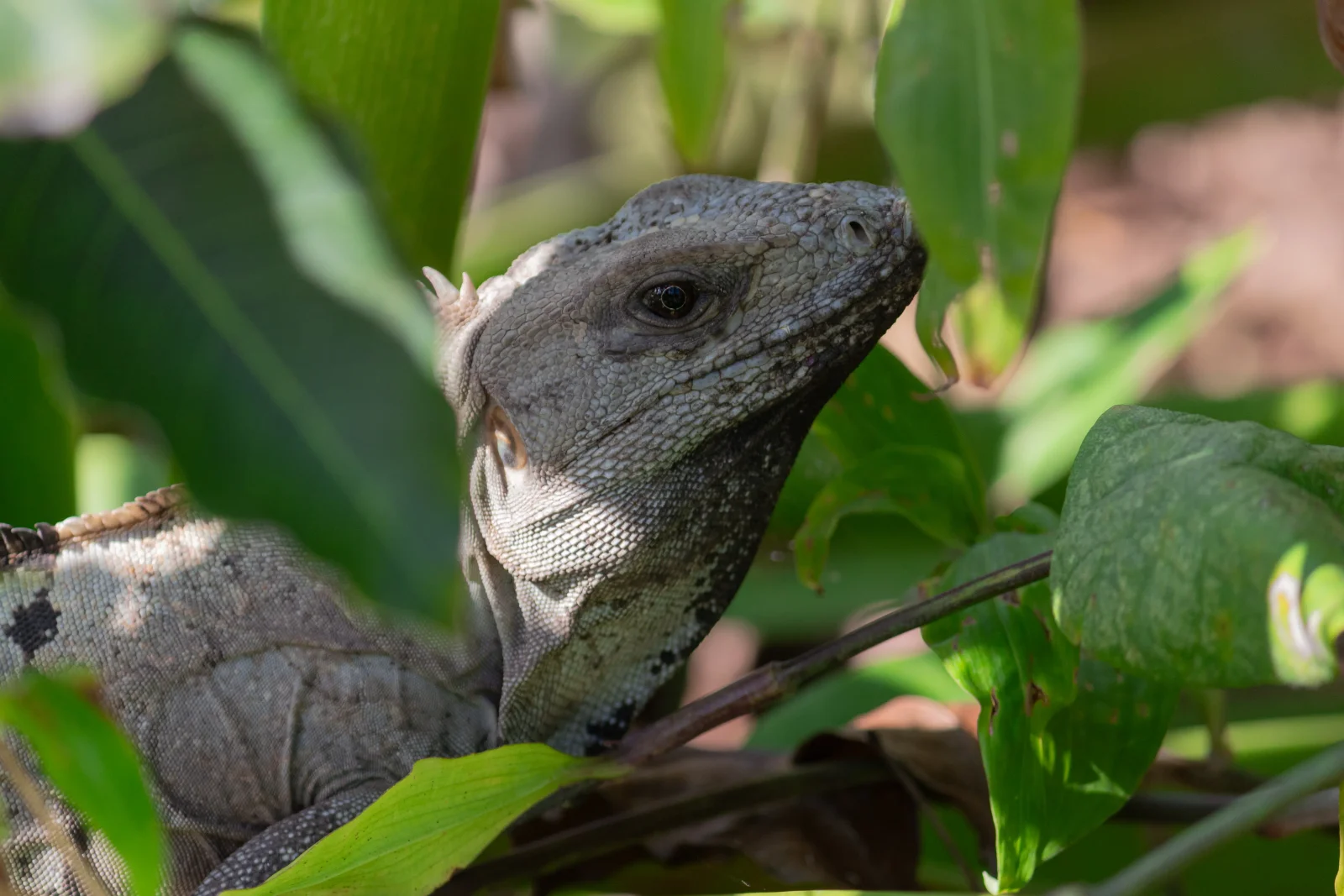 nature photography by JRMGraphy
